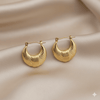 Anti Tarnish Trendy Hypoallergenic Earrings