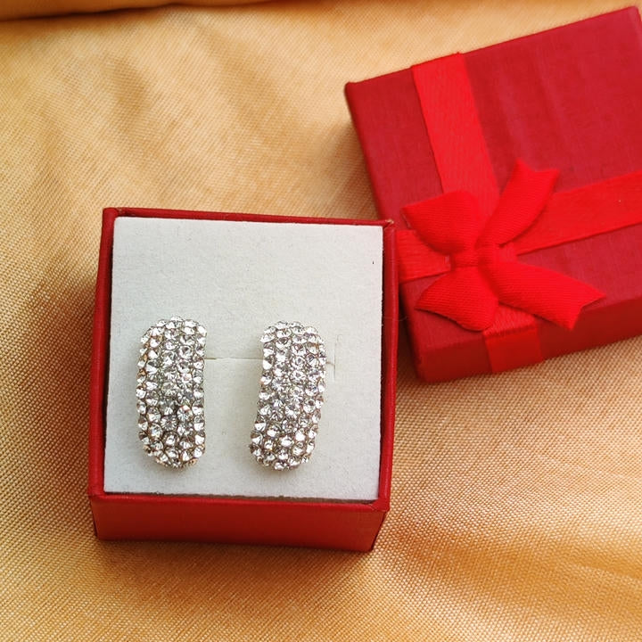 Diamond  Hoop Stunning Earring