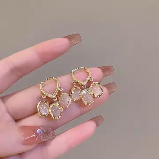 Trendy Hoop Stone Earrings