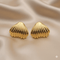 Anti Tarnish Trendy Hypoallergenic Earrings