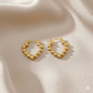 Anti Tarnish Trendy Hypoallergenic Earrings
