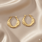 Anti Tarnish Trendy Hypoallergenic Earrings