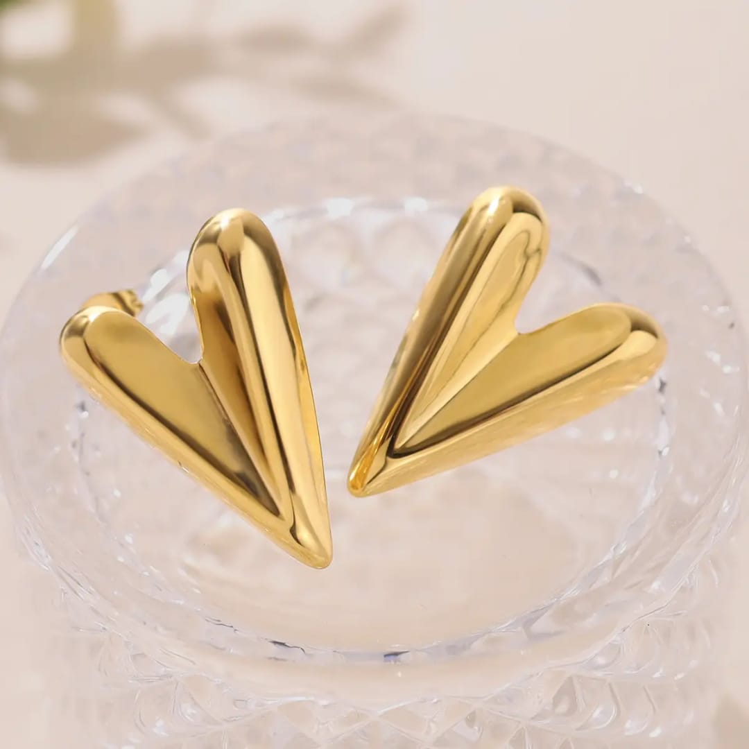 Anti Tarnish Earrings