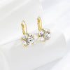 Luxury Fashion Crystal Ball Earrings