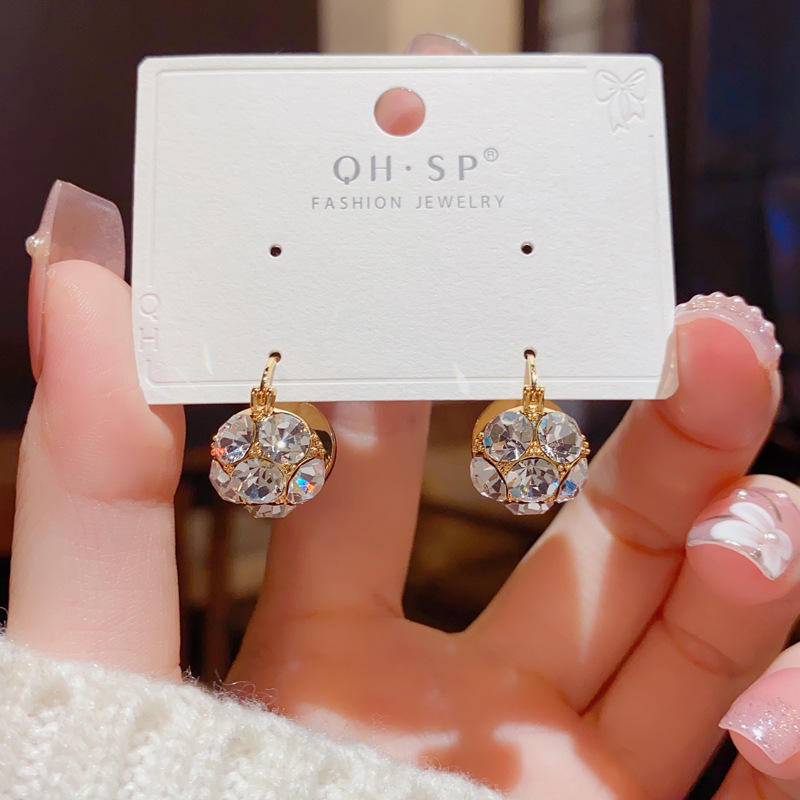 Luxury Fashion Crystal Ball Earrings